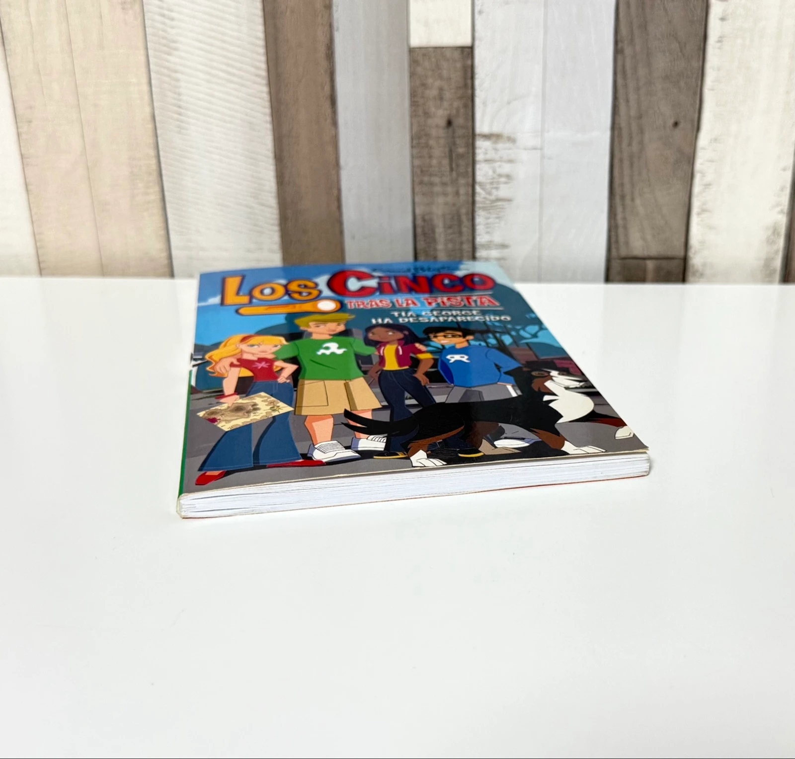 Boek Oom George is verdwenen – photo 6
